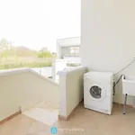 Endless Summer Flat Baia *